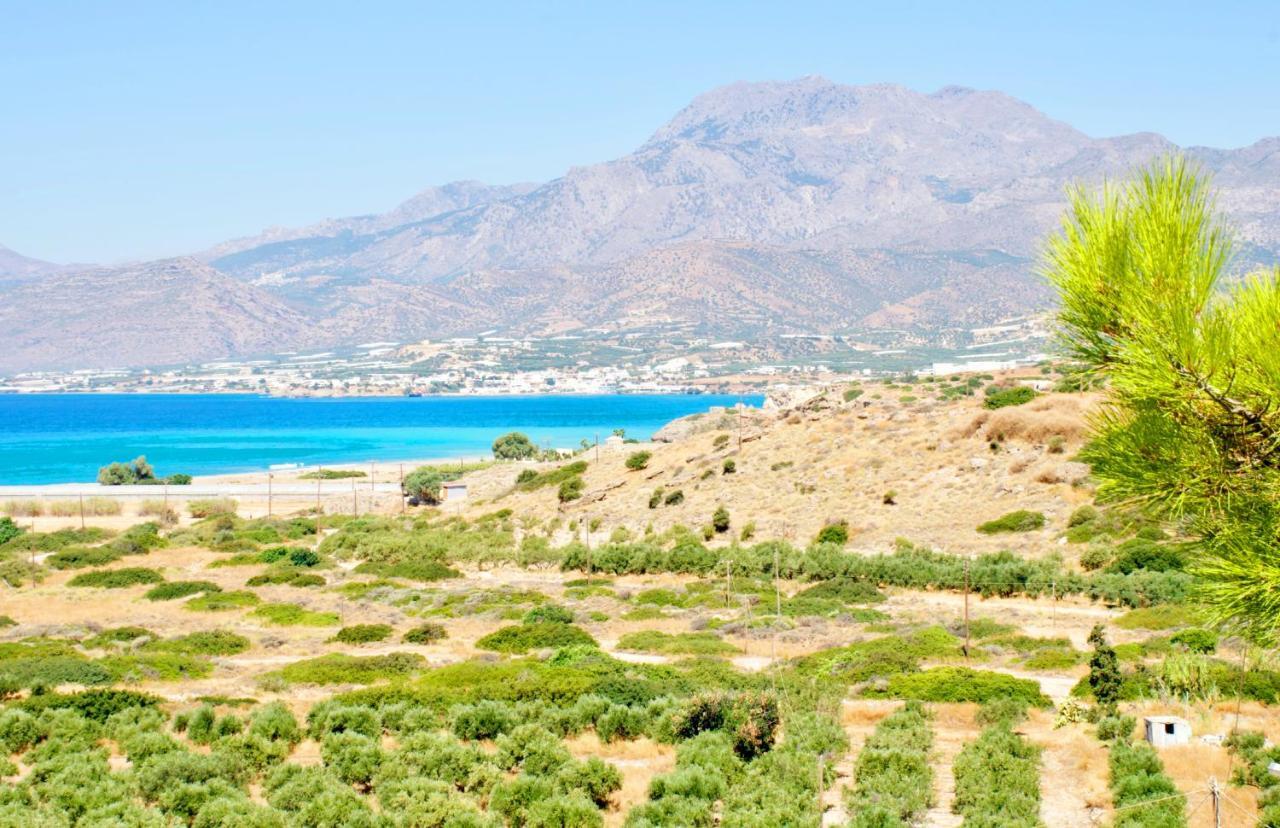Ville Du Soleil - Exclusive Homes With Rustic Charm And Sensational Views Of The Mediterranean Sea Makrýgialos Exteriér fotografie